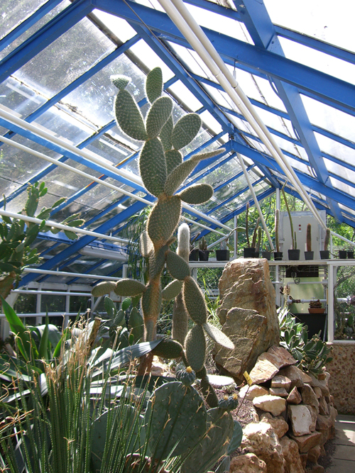 Botanischer Garten