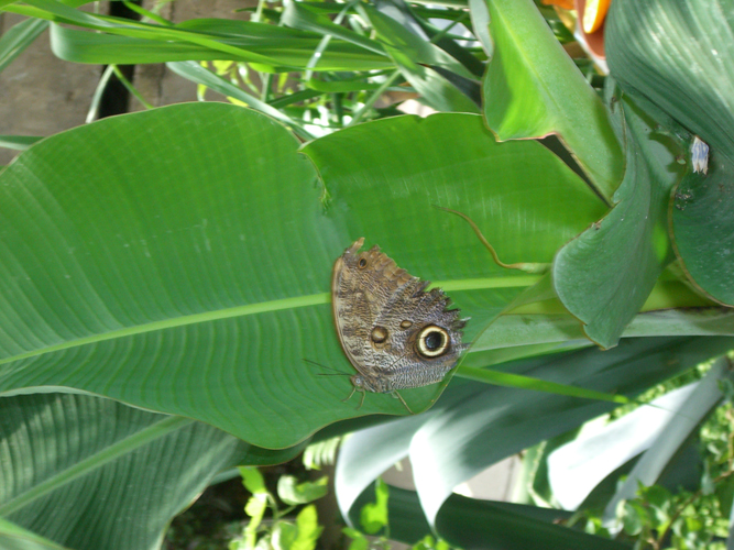 Botanischer Garten